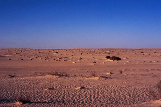 tunisia88_047 Desert scenery