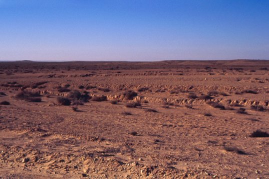 tunisia88_050 Desert scenery