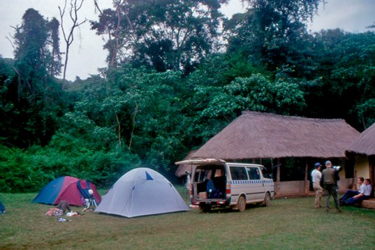 Uganda069 Budongo Forest