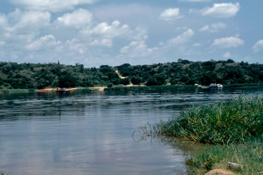 Uganda162 Murchison Falls NP