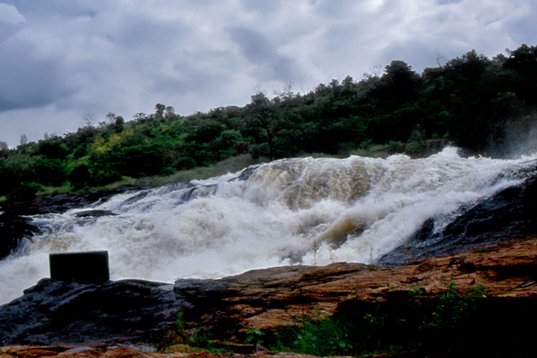 Uganda215 Murchison Falls NP