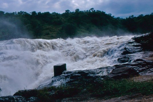 Uganda220 Murchison Falls NP