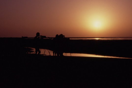 Yemen097 Birding in sunset